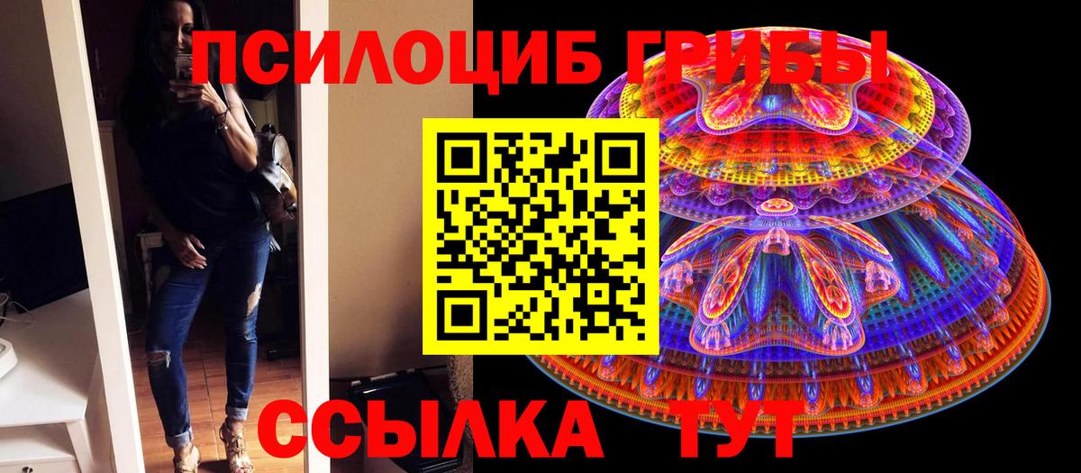 Псилоцибиновые грибы прущие грибы  Вход с VPN  Рязань 