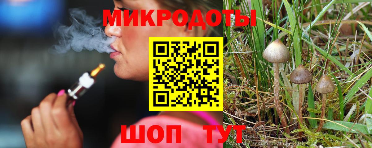 Псилоцибиновые грибы GOLDEN TEACHER Рязань